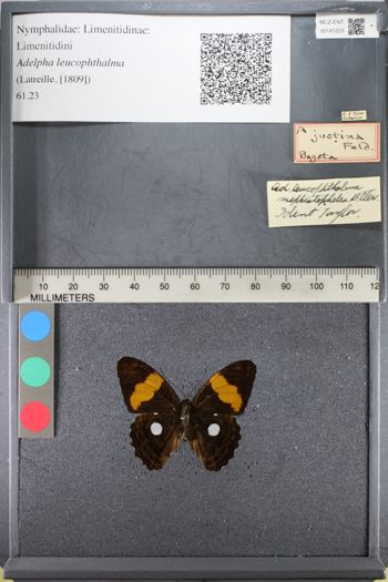 Media type: image;   Entomology 141223